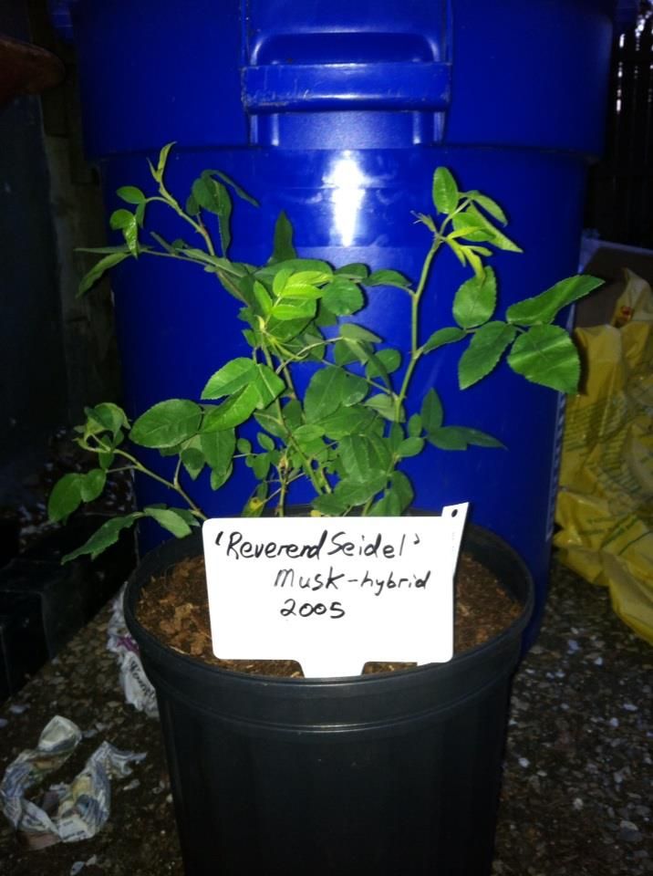  photo ReverendSeidelApril25_zps976612fe.jpg